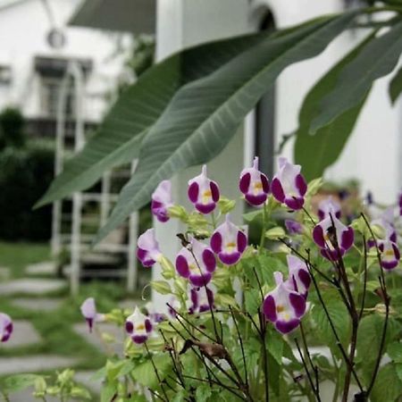 Hasayaki Homestay 싼싱 외부 사진