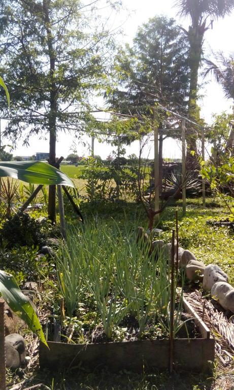 Hasayaki Homestay 싼싱 외부 사진