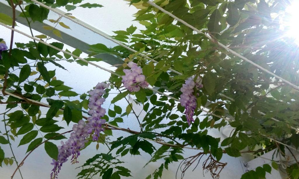 Hasayaki Homestay 싼싱 외부 사진