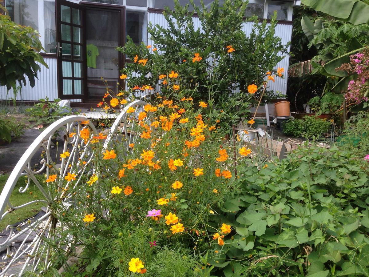 Hasayaki Homestay 싼싱 외부 사진